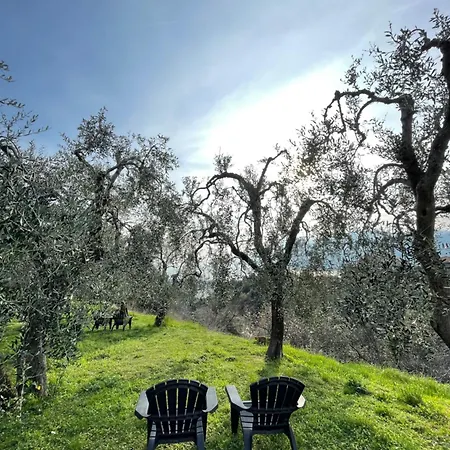Grand View לינה וארוחת בוקר