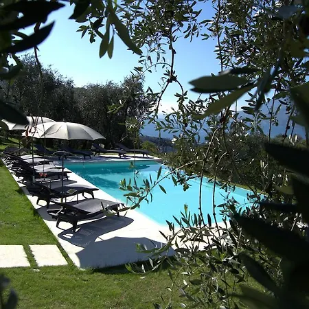 Grand View Malcesine