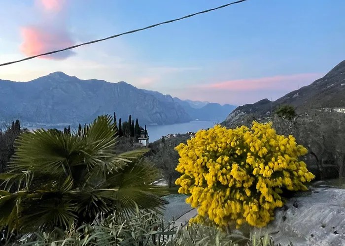 Oda ve Kahvaltı Grand View