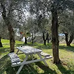 Grand View Malcesine