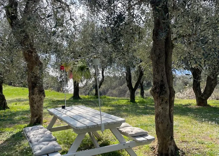 Grand View Μαλτσεζίνε