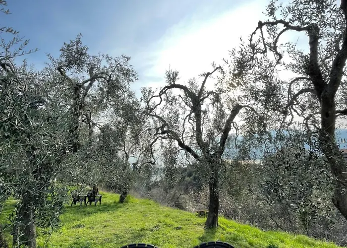 Grand View Bed and Breakfast