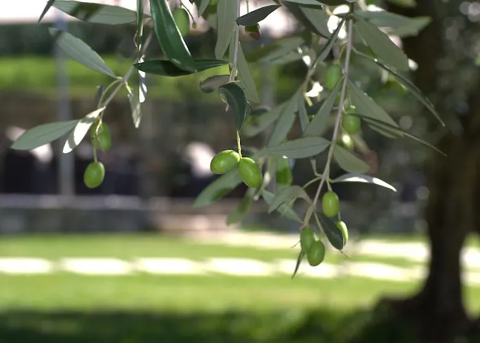 Bed and Breakfast Grand View